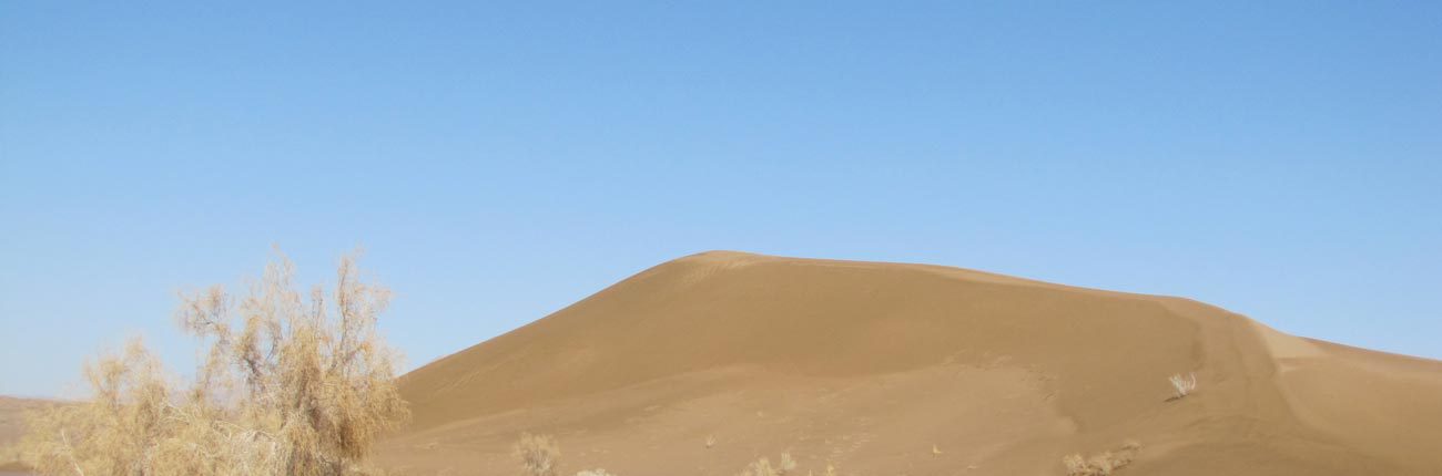 کویر ریگ جن